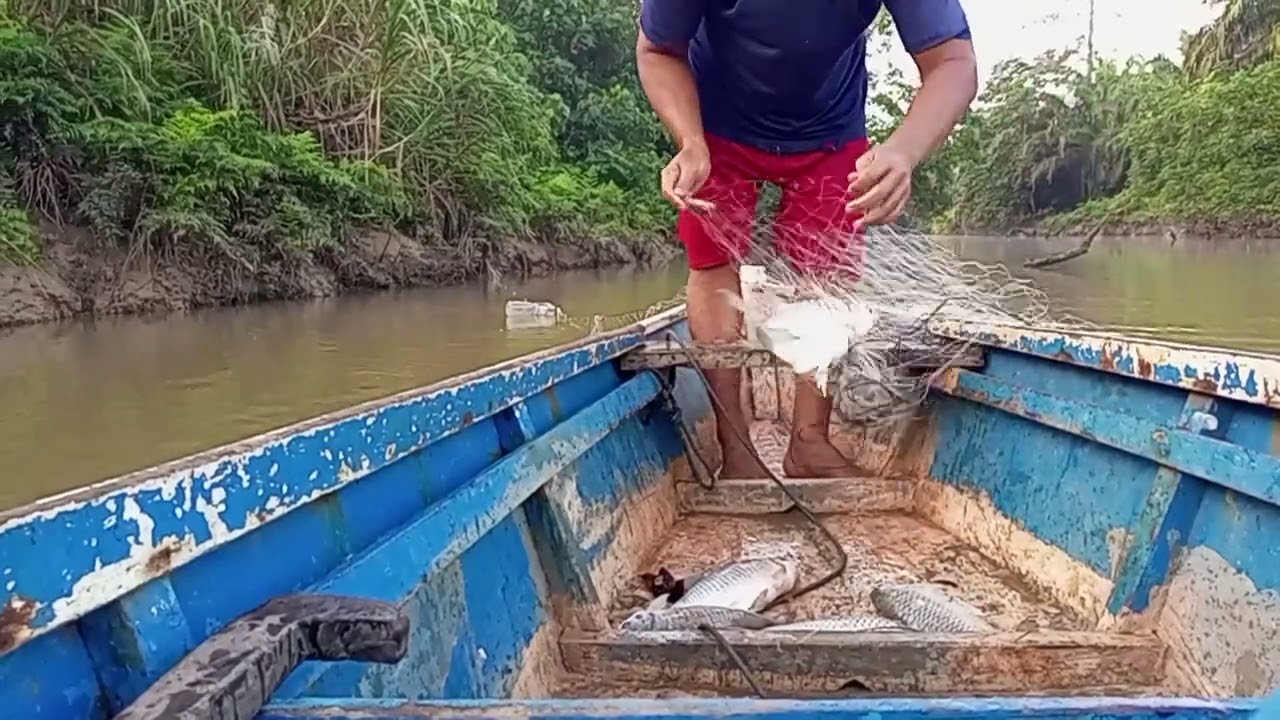 kini kambali angkat jaring dapat ikan 🐟🐟🐟  🐟🐟👍