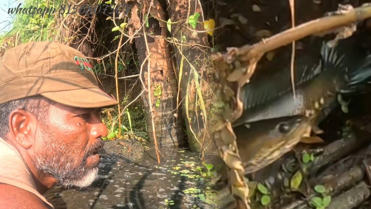 പ്രതീക്ഷകൾക്കുമപ്പുറം | FISHINGVLOG | #reallife #realfishing 