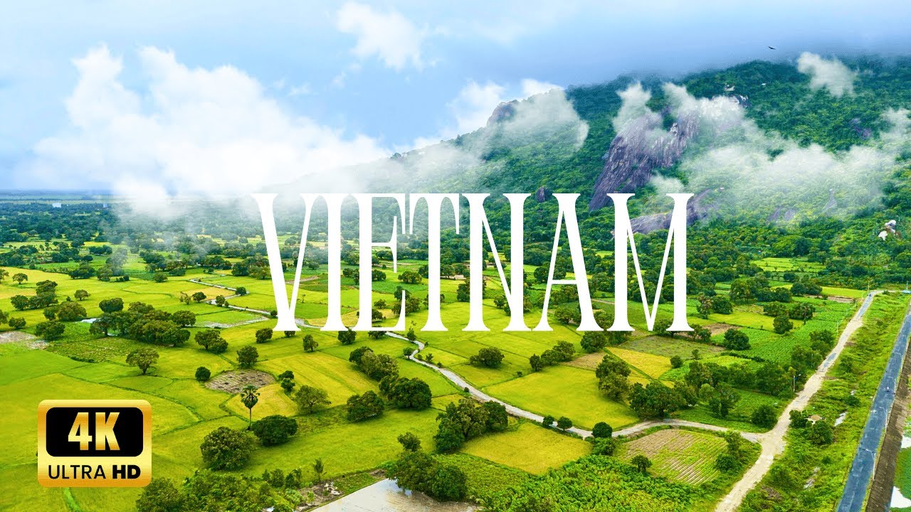 Relaxing Vietnam 4K – Peaceful Rice Fields in An Giang Countryside