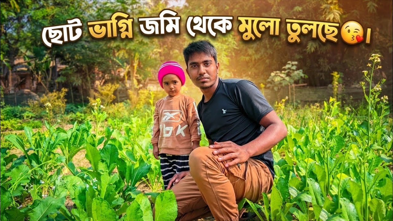 ছোট ভাগ্নি জমি থেকে মুলো তুলছে 😚। 