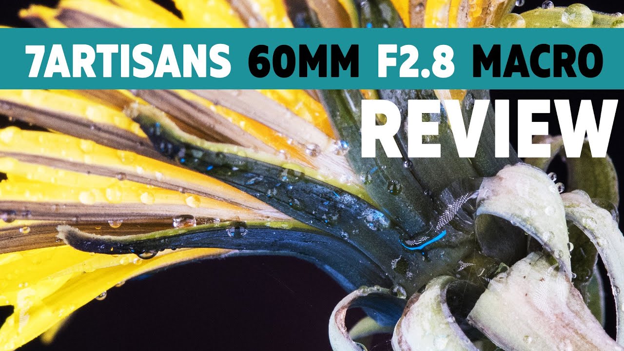 7Artisans 60mm f2.8 Macro Lens Review // Vs Olympus 60mm