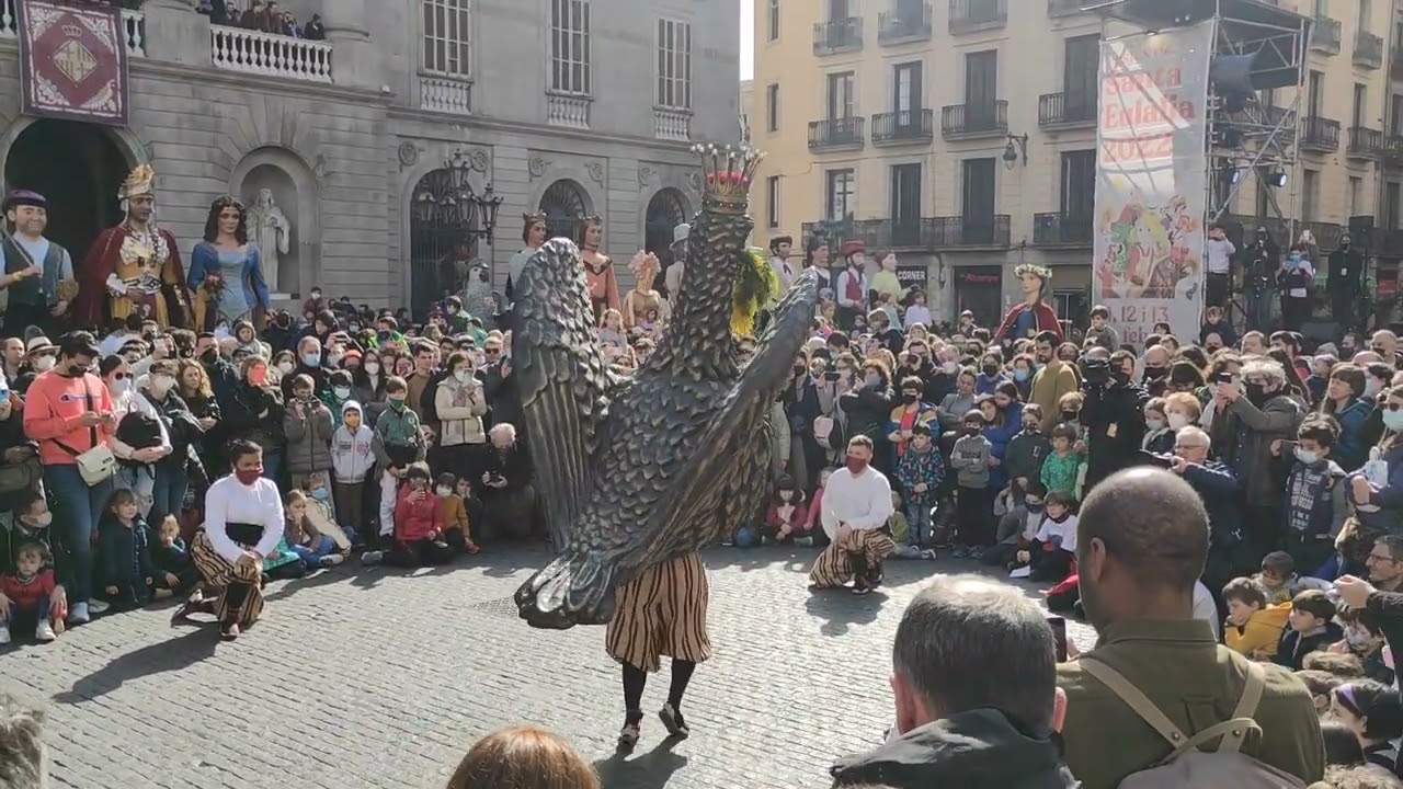 Ball de l'Àliga de Barcelona - Seguici de #SantaEulàlia 2022 #gegants #Barcelona