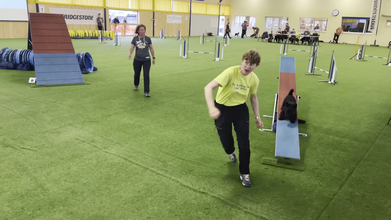 Scottish Terrier Riley in the Finals of the Swiss Agility Cup 2021