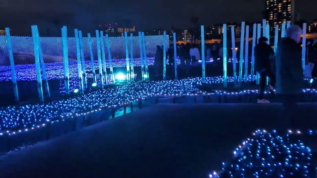 2025/12/22  大井競馬場メガイルミ