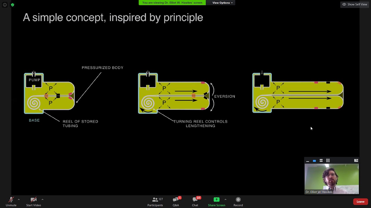 AIM2020 Workshop - Bio-inspired Vine Robots and A Promising New Application - Elliot W. Hawkes
