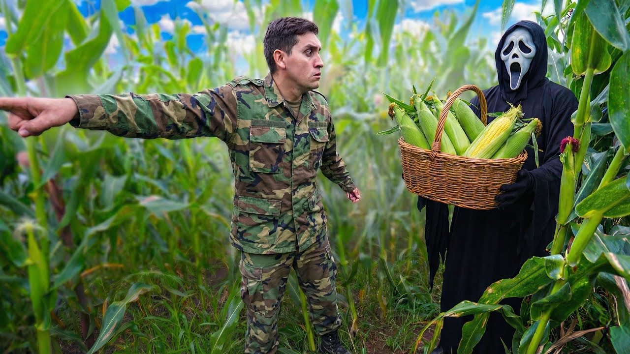FLAGREI O PÂNICO ROUBANDO MILHO