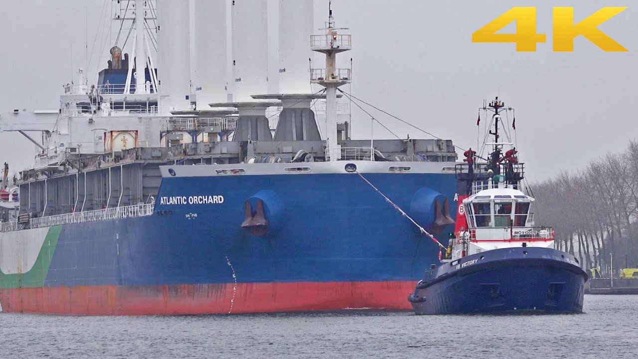 🛳️ FRUIT JUICE TANKER WITH 4 x 26m TALL SUCTION SAILS LEAVE GHENT BELGIUM - 4K SHIPSPOTTING 2025