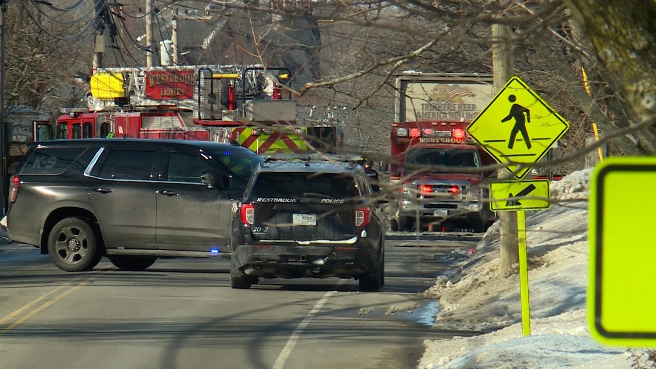 Dog 'grievously injured' in Westbrook crash involving erratic driver, police say