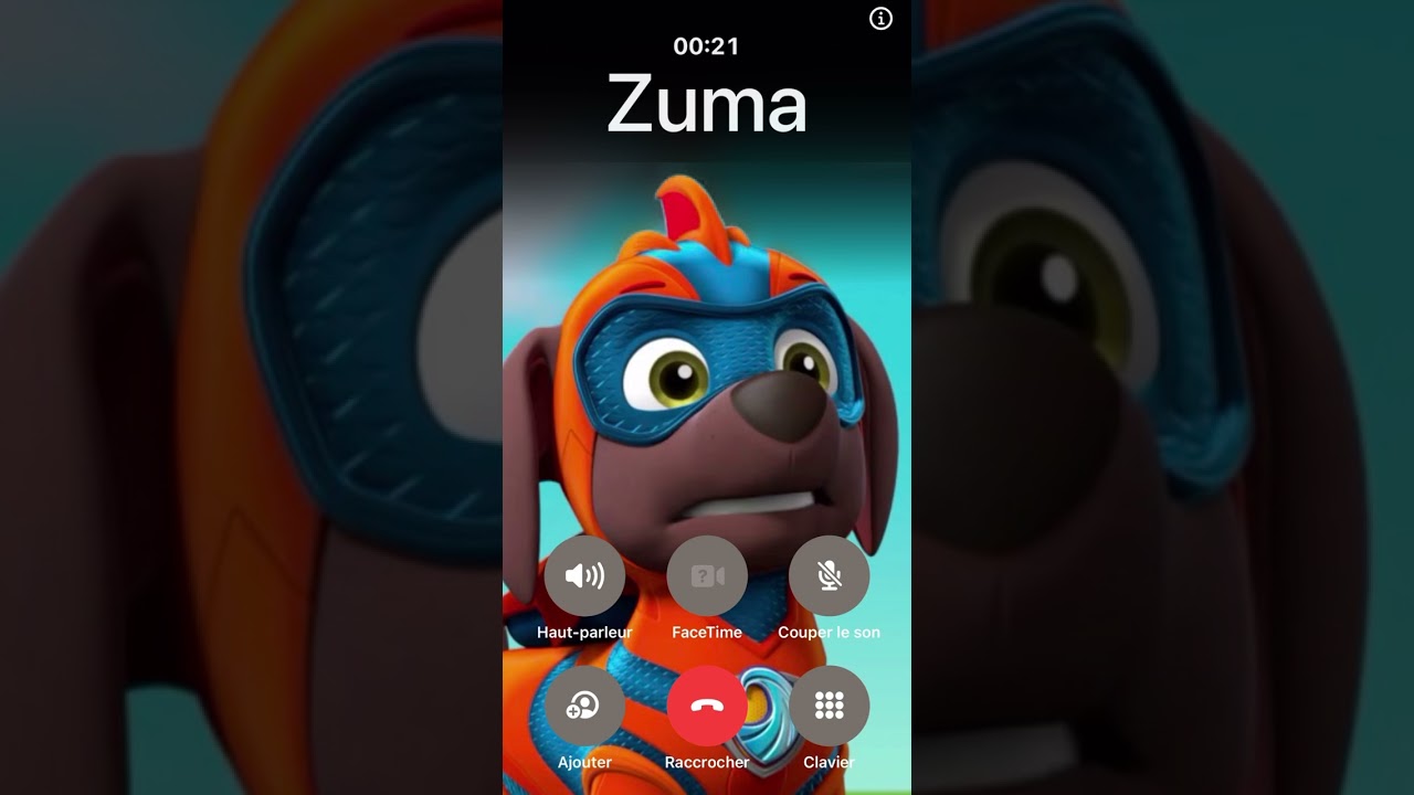 Zuma de la Pat' Patrouille t'appelle pour te souhaiter un joyeux anniversaire !