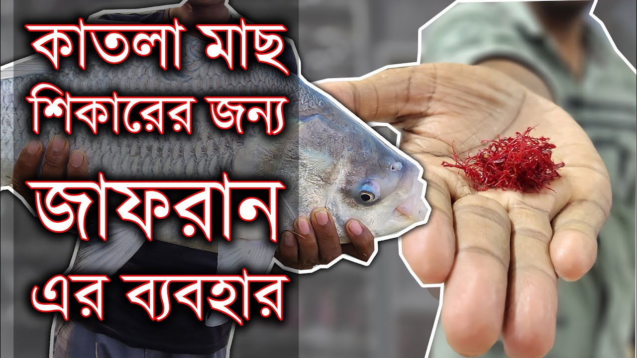 #জাফরান দিয়ে #মাছ শিকার ? How to make #saffron spray and use for fishing bait