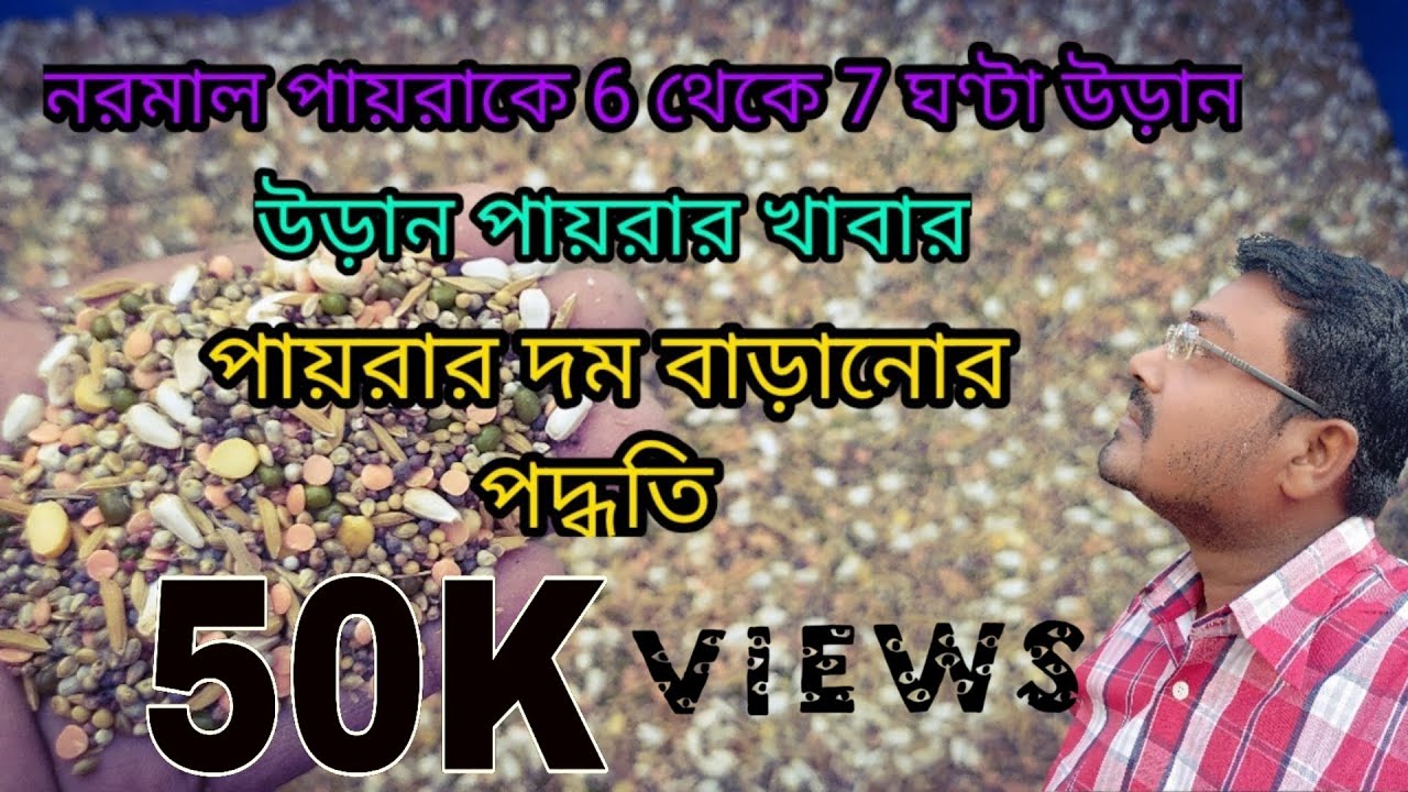 Pigeon Mixed Food|উড়ান পায়রার খাবার|পায়রাদের খাওয়ারে কি কি দেওয়া উচিত|winter food only