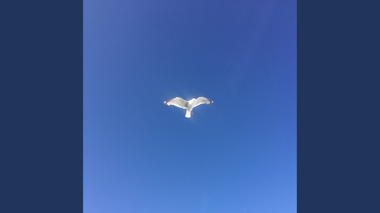 Lowbird