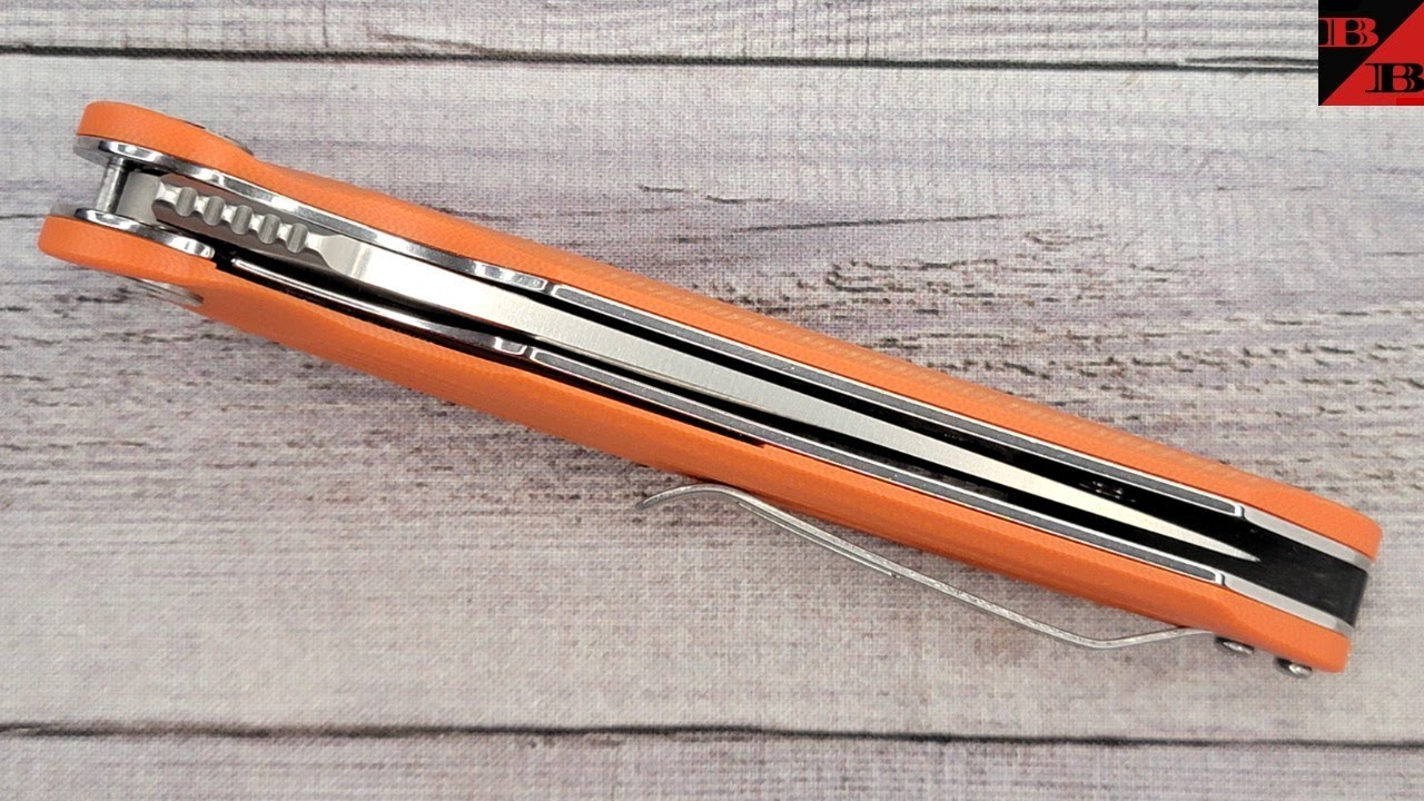 PETRIFIED FISH WING PF878 NEW! THE BUDGET 