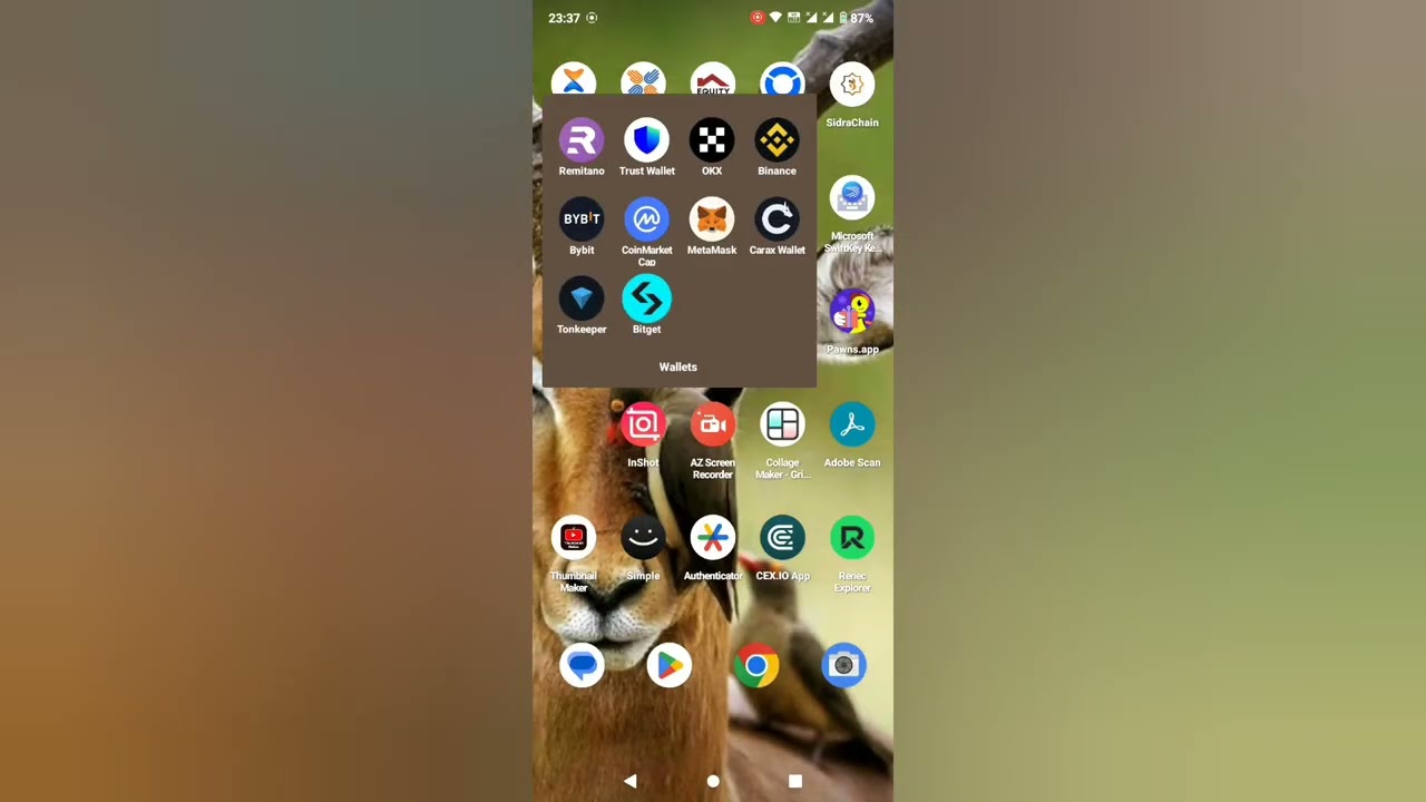 How to withdraw Tomato Toma to Bitget wallet /How to connect toma to Bitget wallet