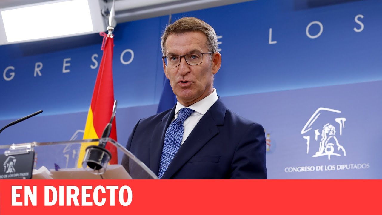 DIRECTO | Alberto Núñez Feijóo comparece en el Congreso tras reunirse con Santiago Abascal | EL PAÍS