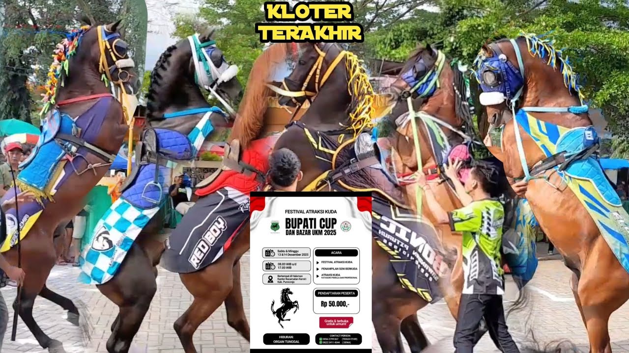DAY 1 ATRAKSI KUDA JINGKRAK BUPATI CUP PURWOREJO | 13 DES 2025