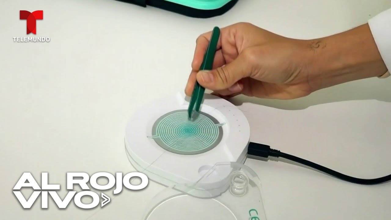 Test epigenético detecta enfermedades con hebras de cabello