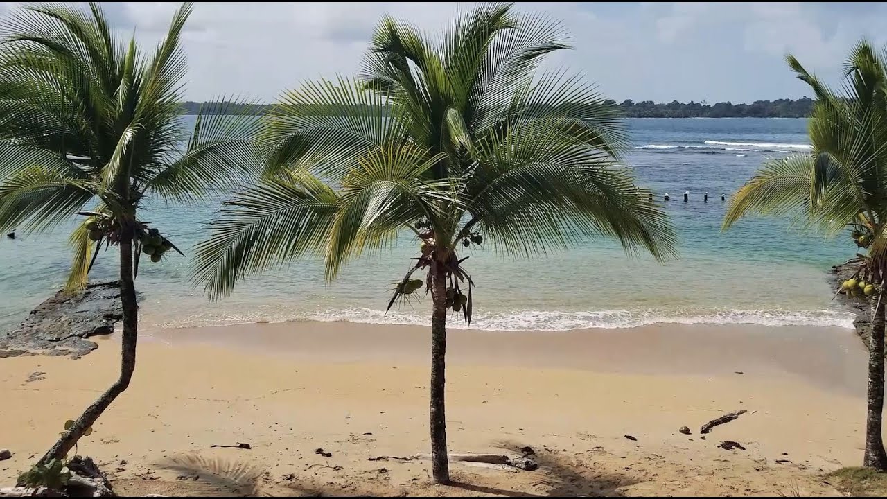 Boca del Drago 2021 - Bocas del Toro, Panamá