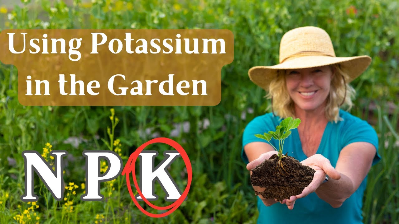 Explaining Garden Potassium Complete Guide -  The NPK Series