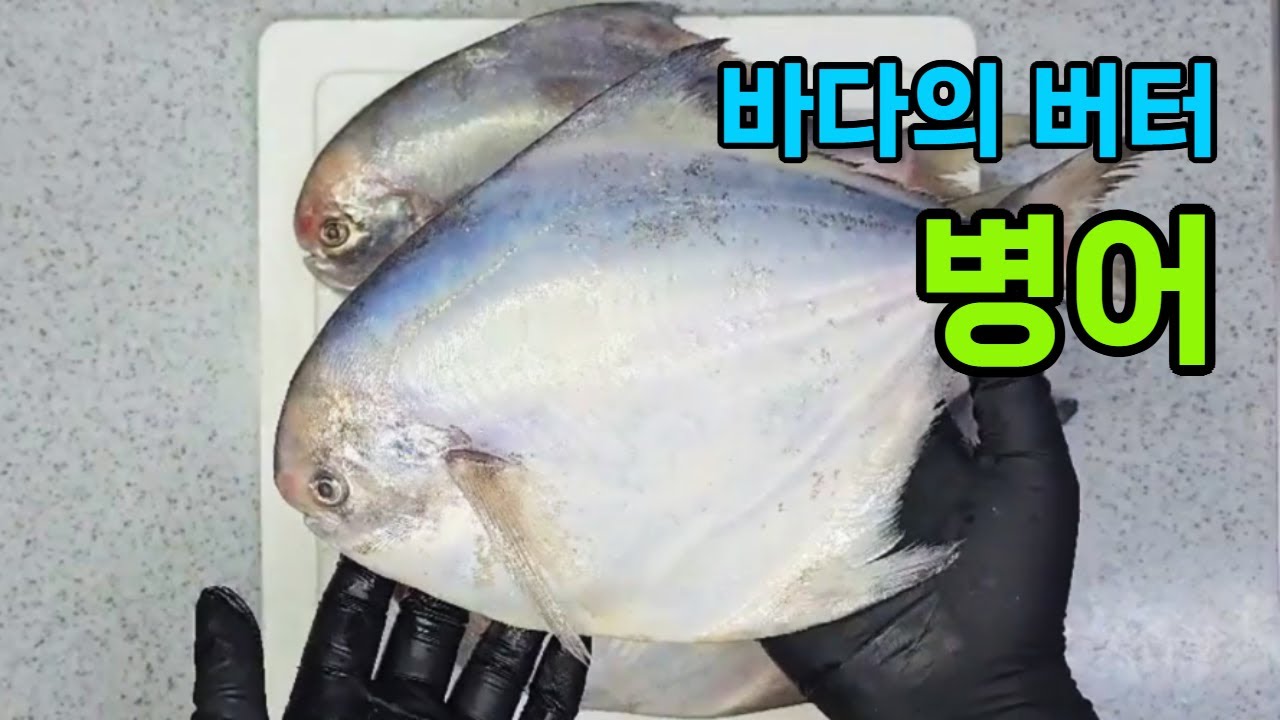 여름 제철 생선 병어, 병어 손질법, 보관, 효능, 병어회무침, 병어조림