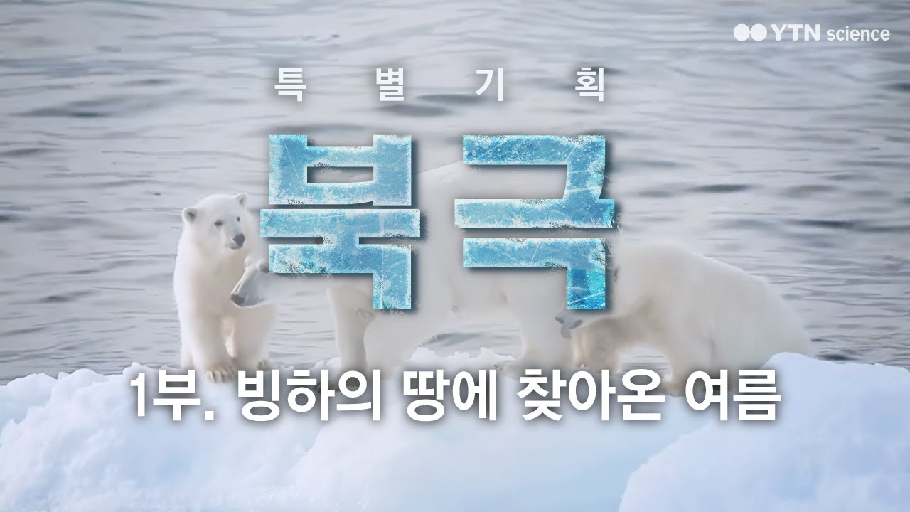 [특별기획 북극] 1부.빙하의 땅에 찾아온 여름 / YTN 사이언스