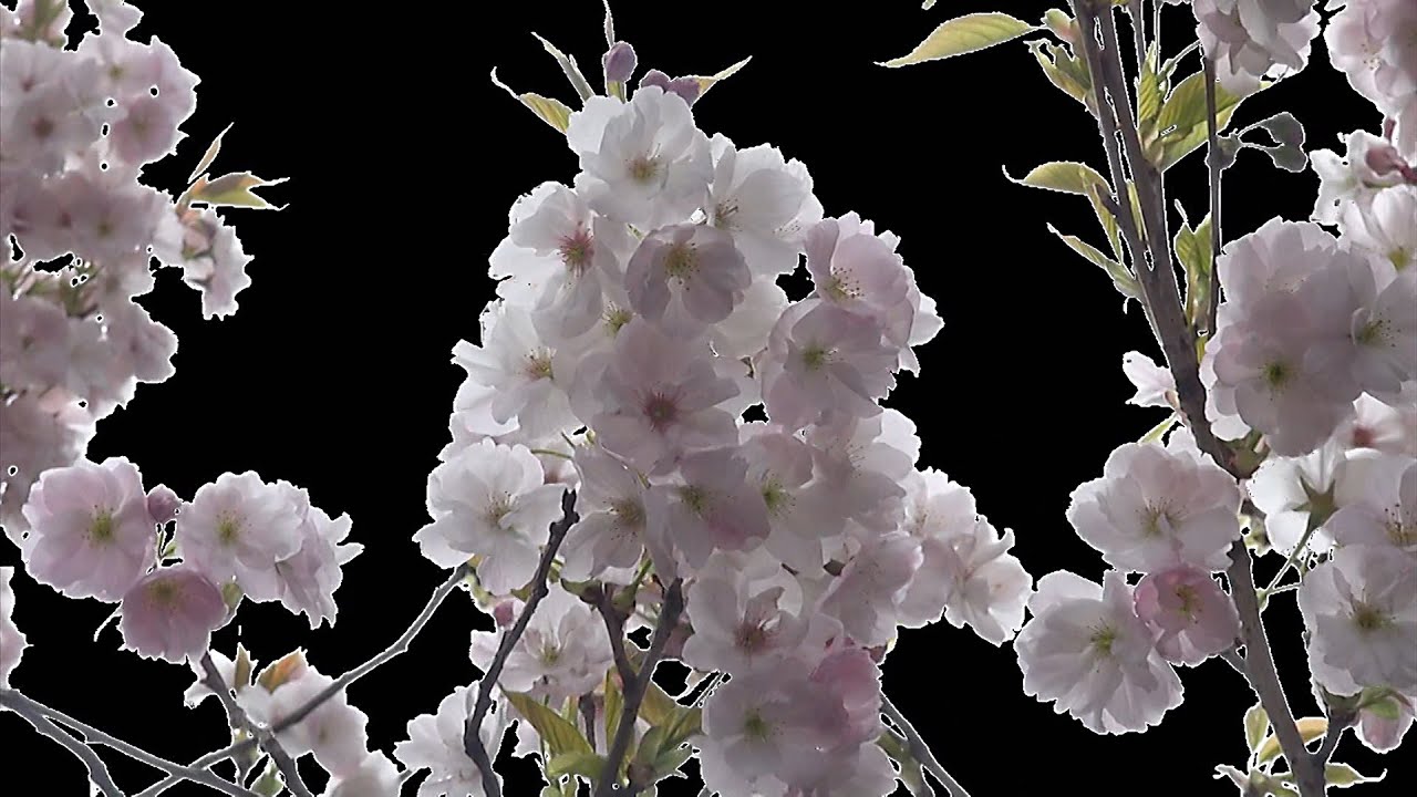 Pink Floyd - The Narrow Way (Parts 1, 2 & 3 concatenated)