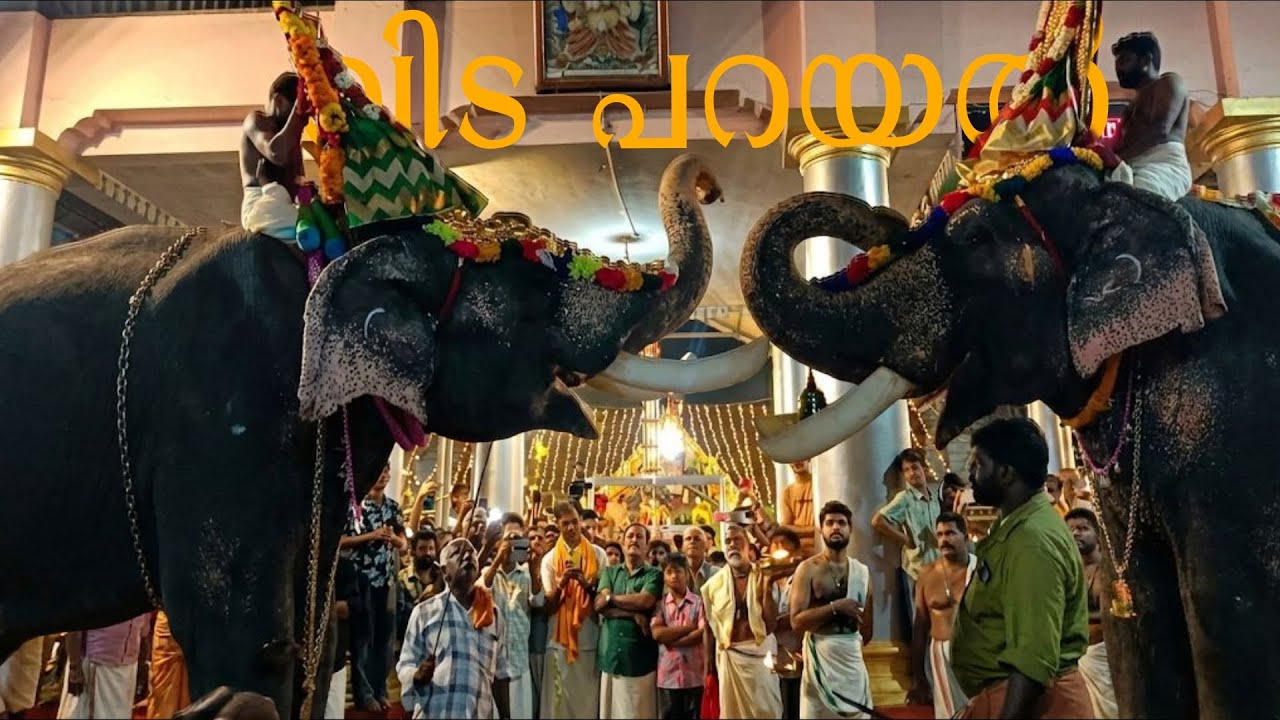 തൈക്കാട്ടുശ്ശേരി പുന്നക്കീഴിൽ ഭാഗവതിയുടെ വിട പറയൽ 