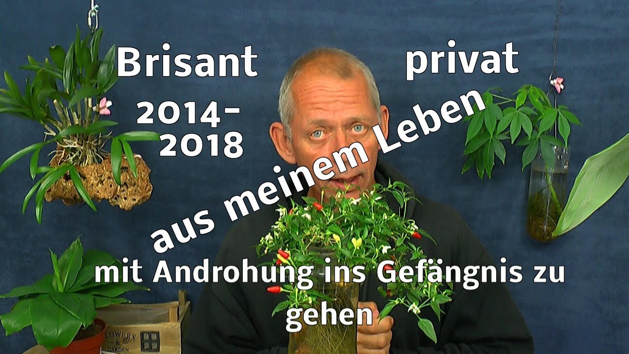 Brisantes aus meinem Leben das ich schon viele Jahre mit mir rumschleppe erzähle ich spontan