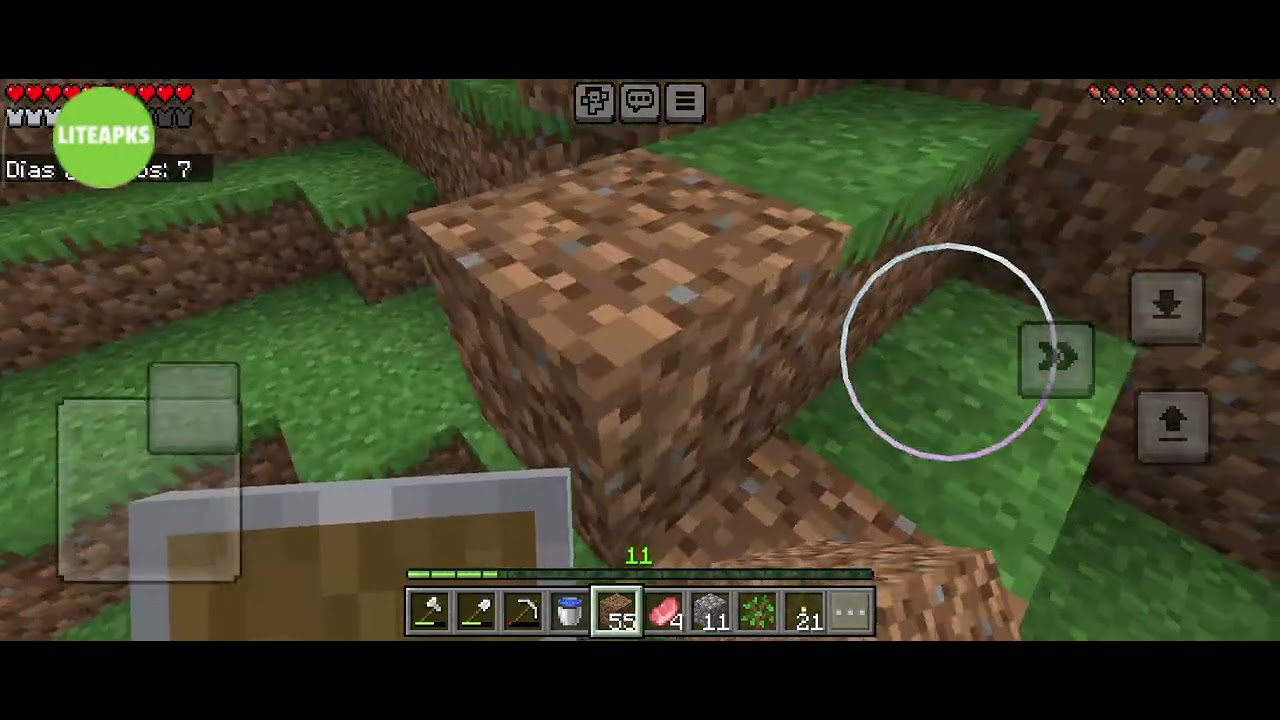 Minecraft pacífico, observado