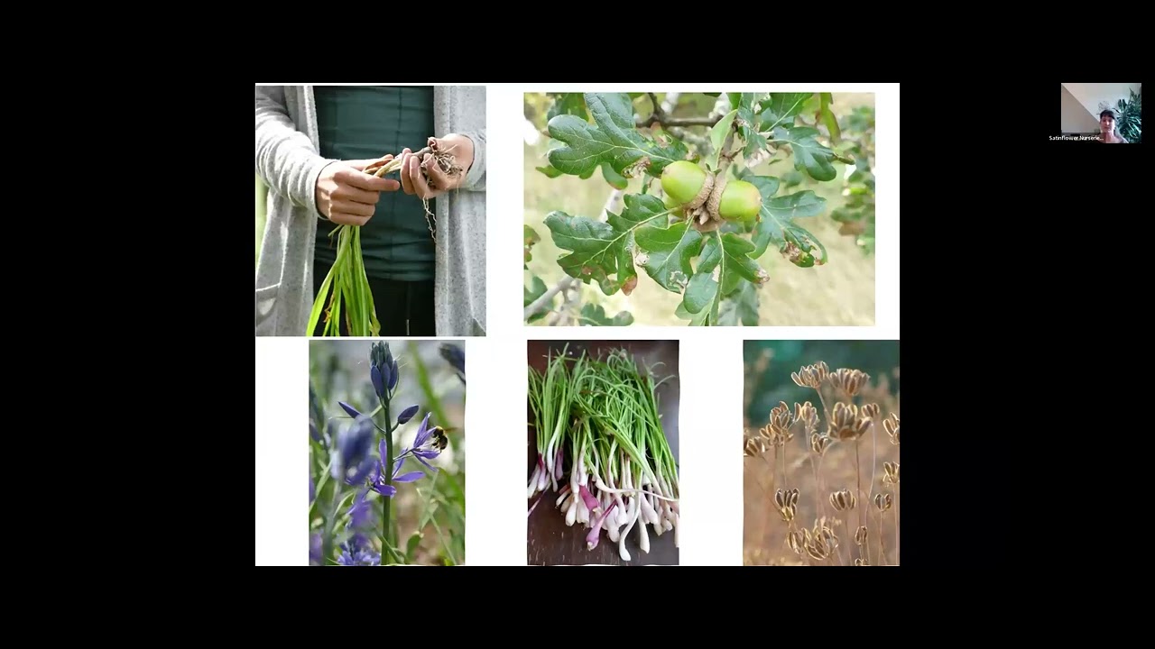 Native seed production on southern Vancouver Island from a small business perspective