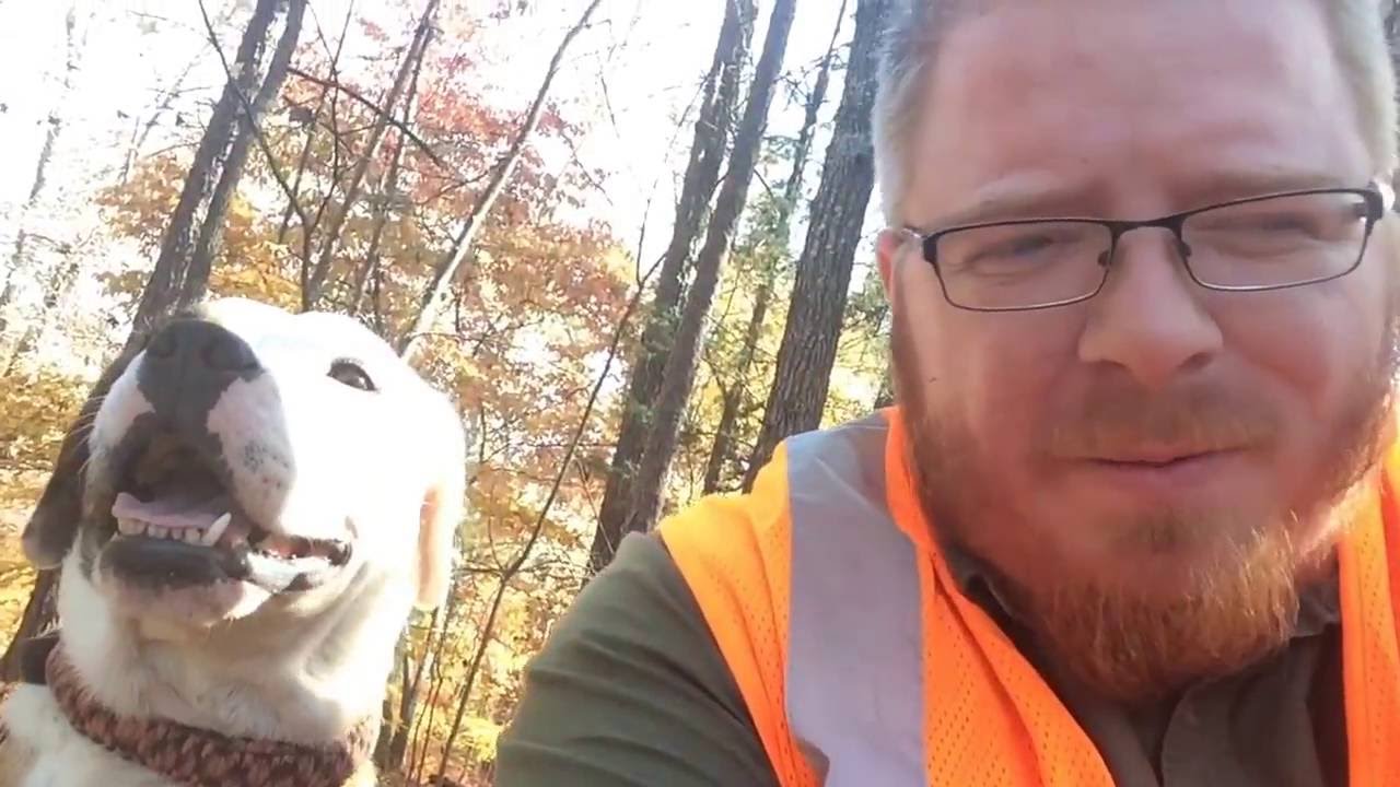 K9 Survival Companion - Are Dogs good for Survival?