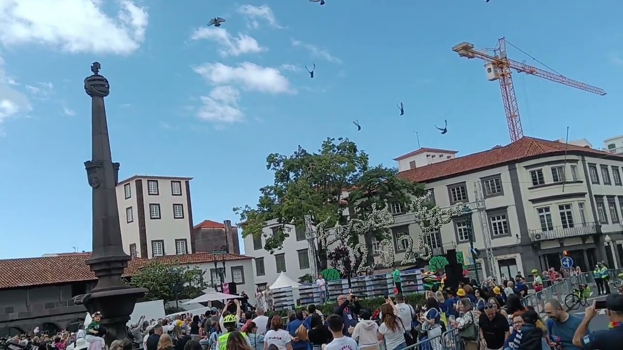FESTA da FLOR Cortejo Infantil  Muro da Esperan&ccedil;a 2025 33
