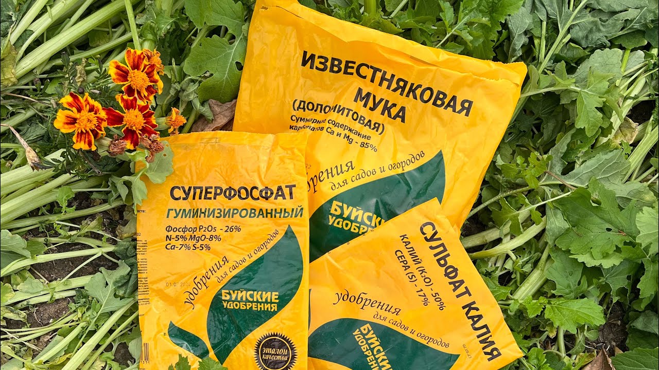 Жеміс ағаштарына күзгі тыңайтқыш беру. #баубақша #бақша #тыңайтқыш #жеміс #ауыл