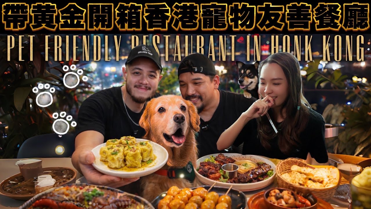 帶黃金獵犬吃遍香港！找到超多寵物友善餐廳🐶【PET IN HONG KONG PART 5】