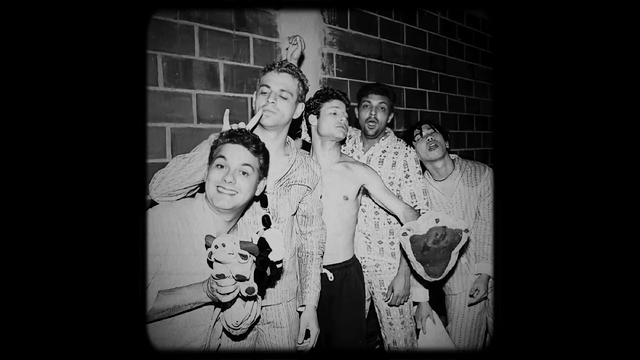 mamonas assassinas - mundo animal (slow + reverb)