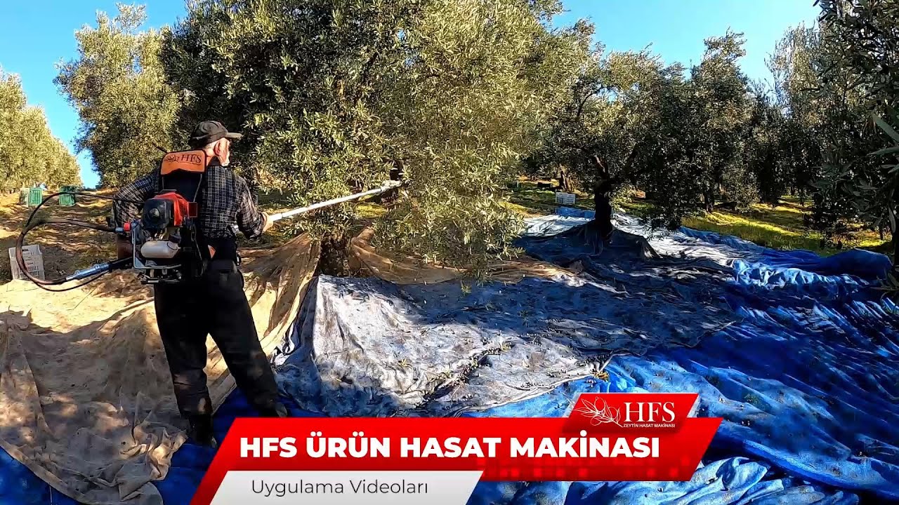 HFS Zeytin Silkeleme Makinesi
