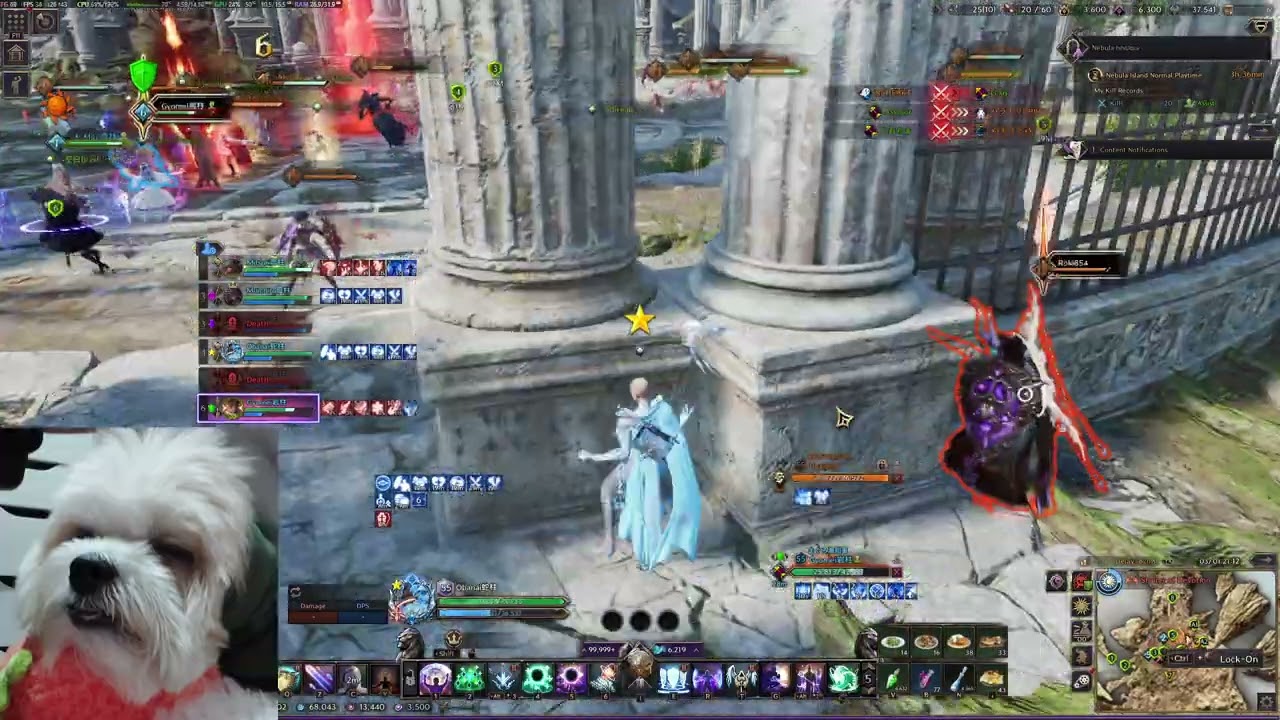 Throne and Liberty | 03/01 Exodus BIG FIGHT w/ Sunstorm | JP - Amethyst