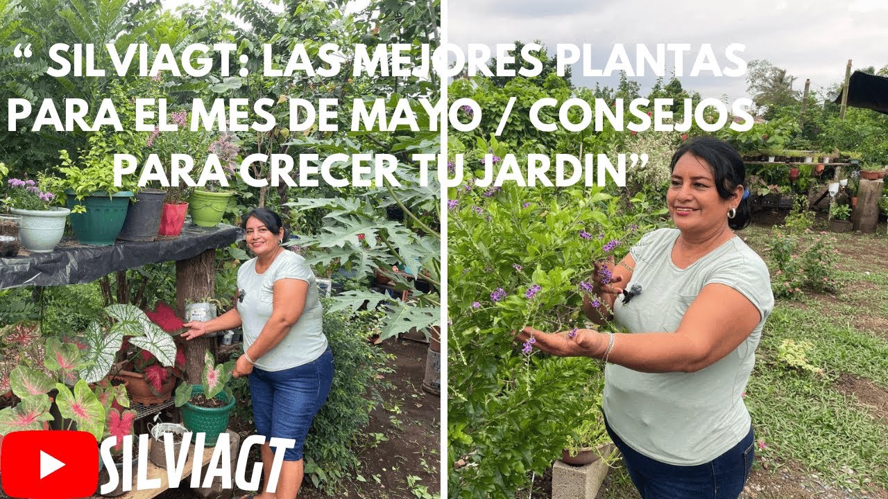 EL JARDIN DE SILVIAGT: LAS MEJORES PLANTAS PARA EL MES DE MAYO / CUIDADOS PARA TENER UN JARDIN BELLO