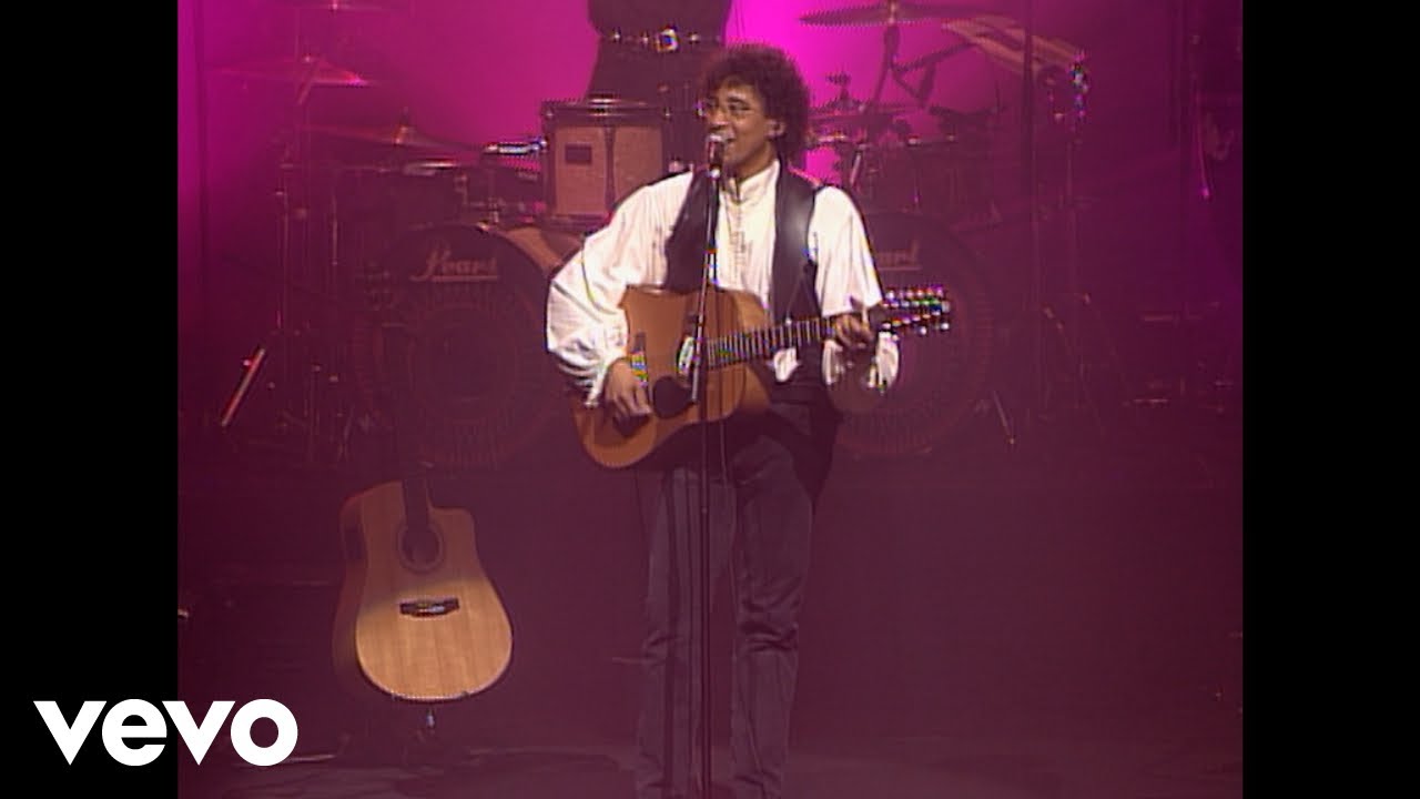 Laurent Voulzy - Le pouvoir des fleurs (Voulzy Tour au Zénith de Paris 1993)