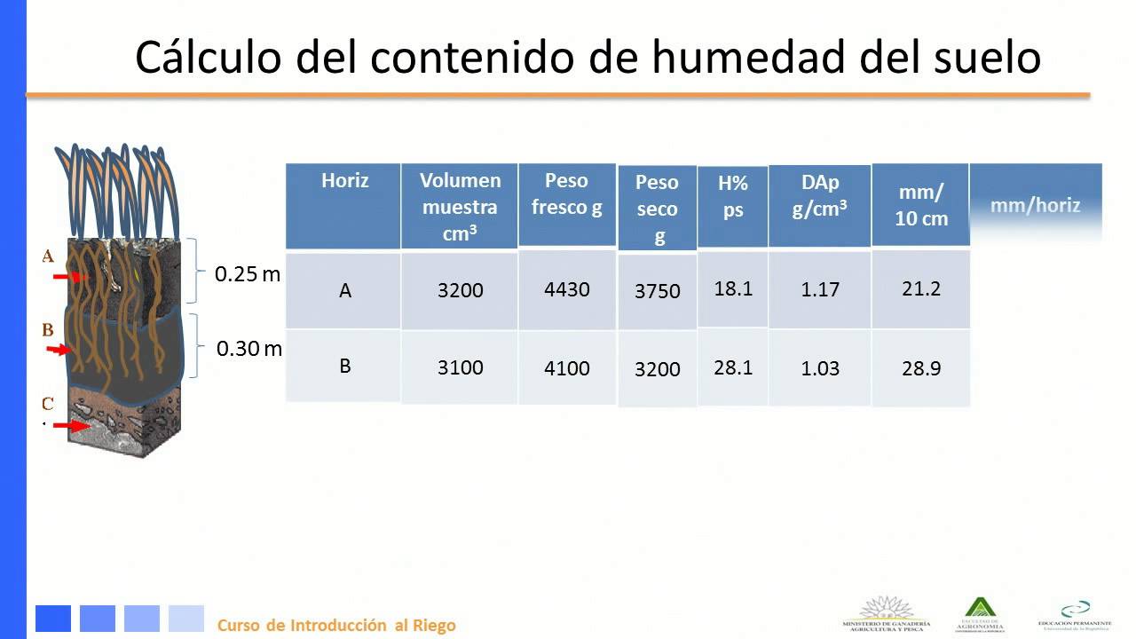 Modulo 1: Cálculo de la lámina de riego primer parte