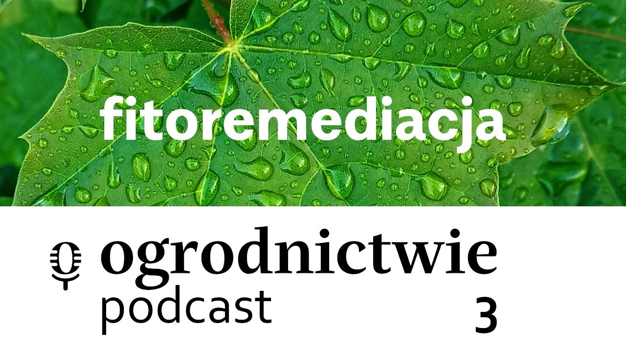 #003 fitoremediacja - o ogrodnictwie