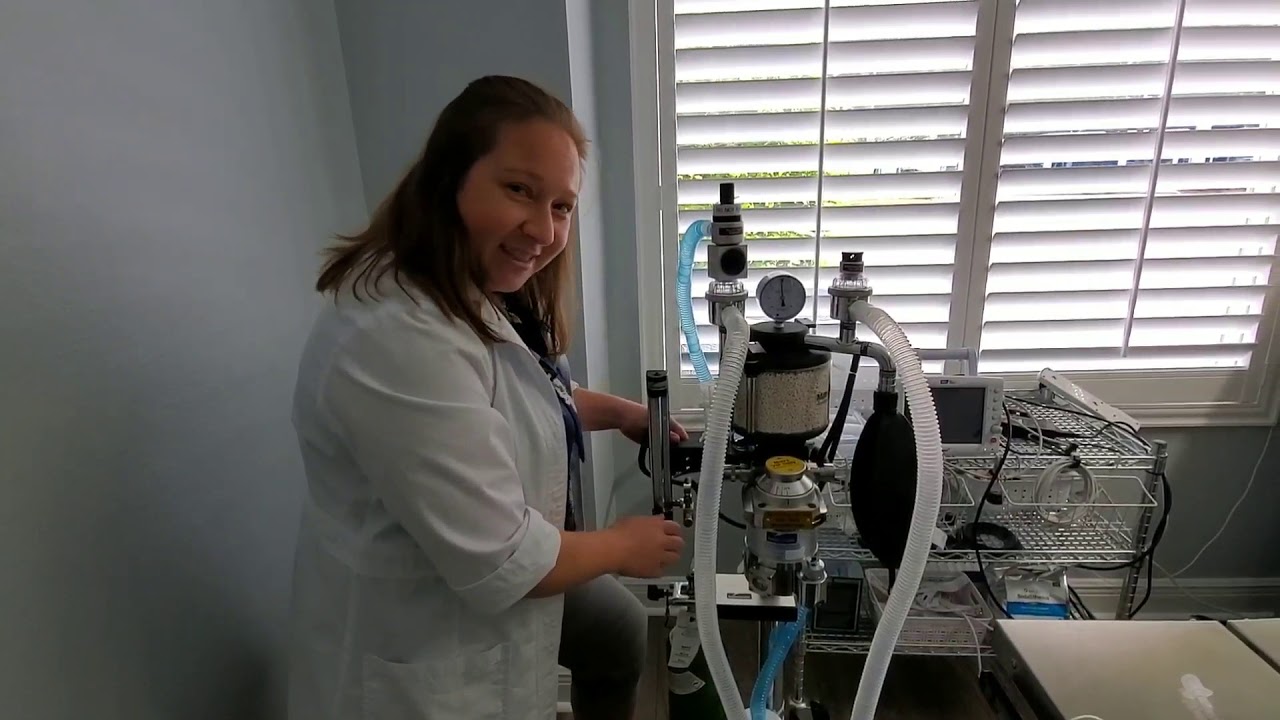 Ask the Vet - Anesthesia machine
