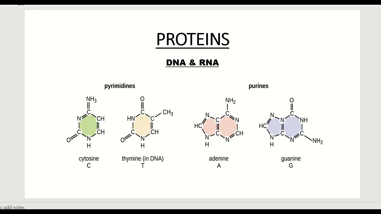 ORGANIC CHEMISTRY