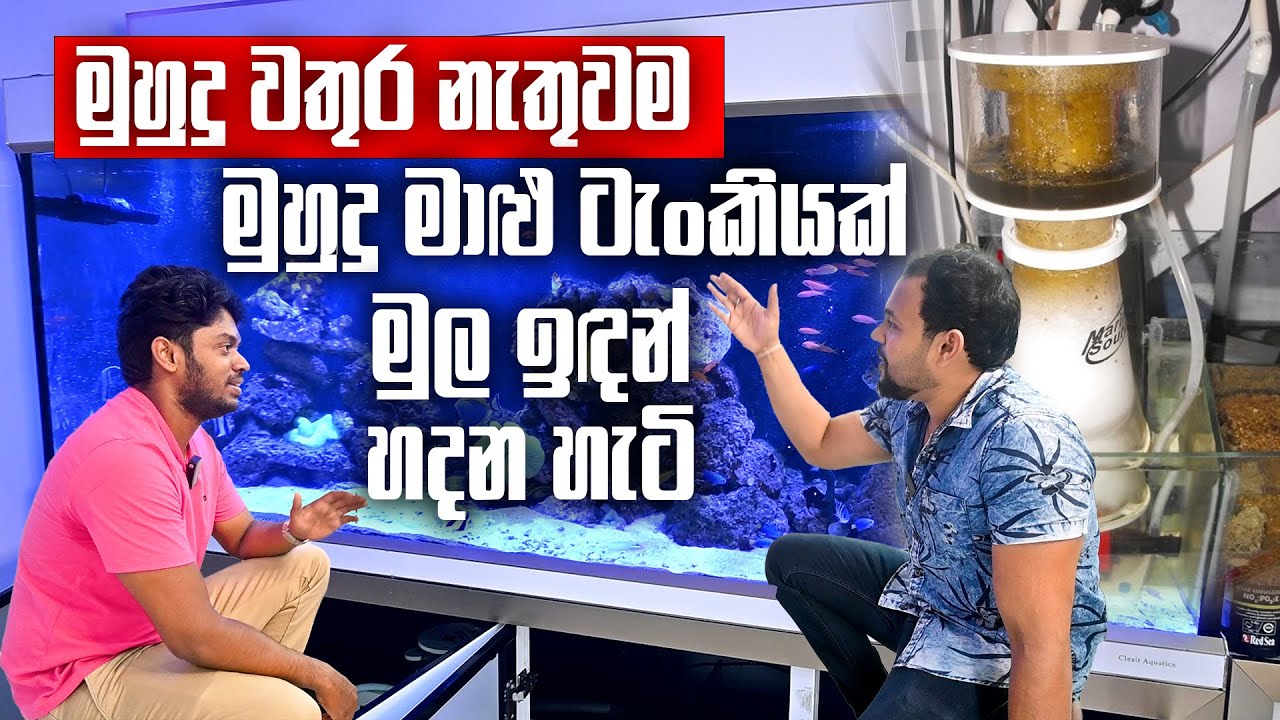 Making A Marine Fish Tank without Sea Water | මුහුදු වතුර නැතුවම මුහුදු මාළු ටැංකියක් හදන හැටි