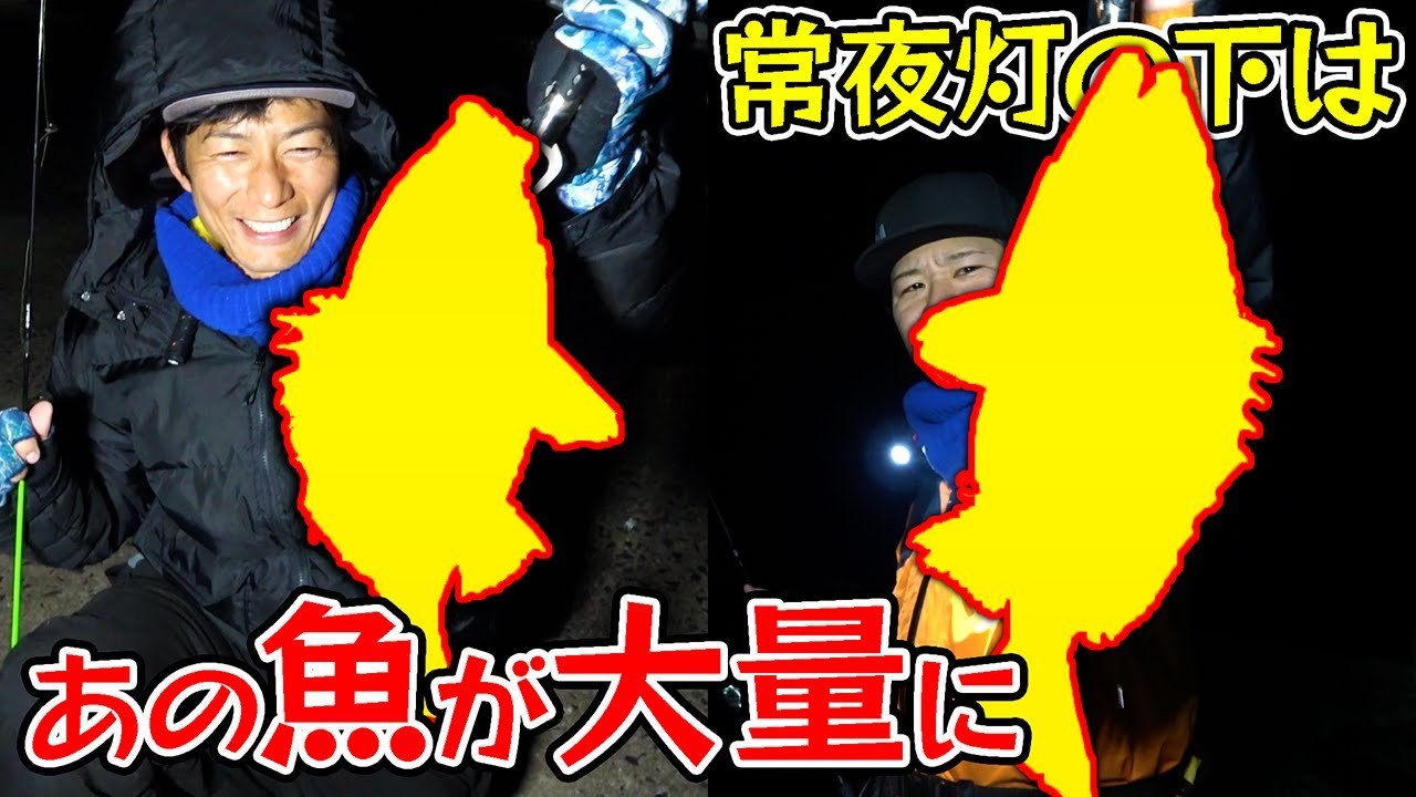 【島遠征#3】夜の堤防はあの魚が連発する楽園だった！？