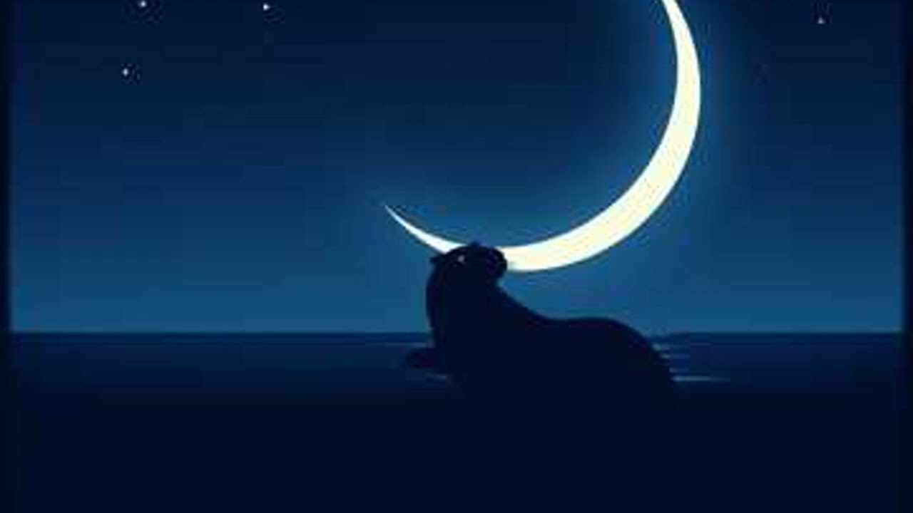 ==El Capibara y la Luna