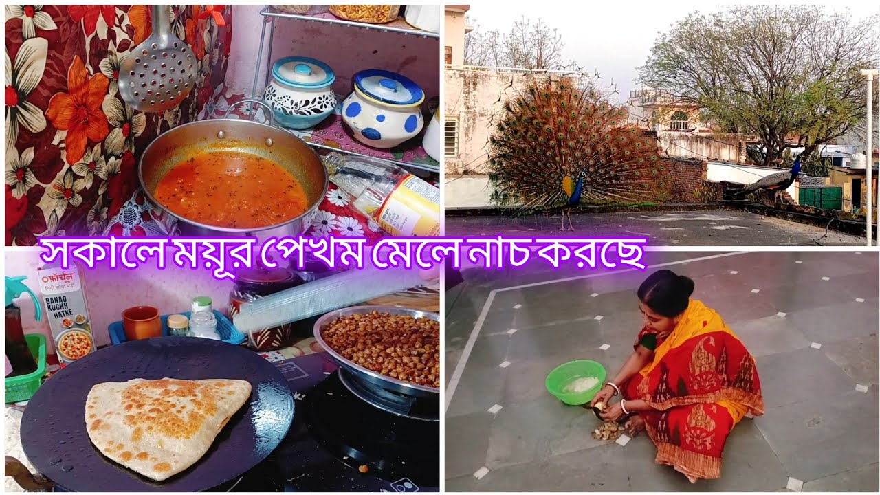 আজকে সবাই চলে যাবে তাই ভোরে উঠে রান্না শুরু করলাম। আনন্দের মুহূর্ত অনেক তাড়াতাড়ি শেষ হয়ে যায় 