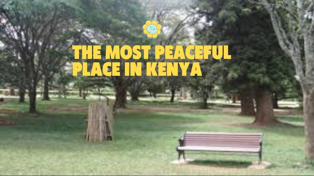 Nairobi Hidden Gems: Aboretum Gardens:Forest in the City/Overlooked place