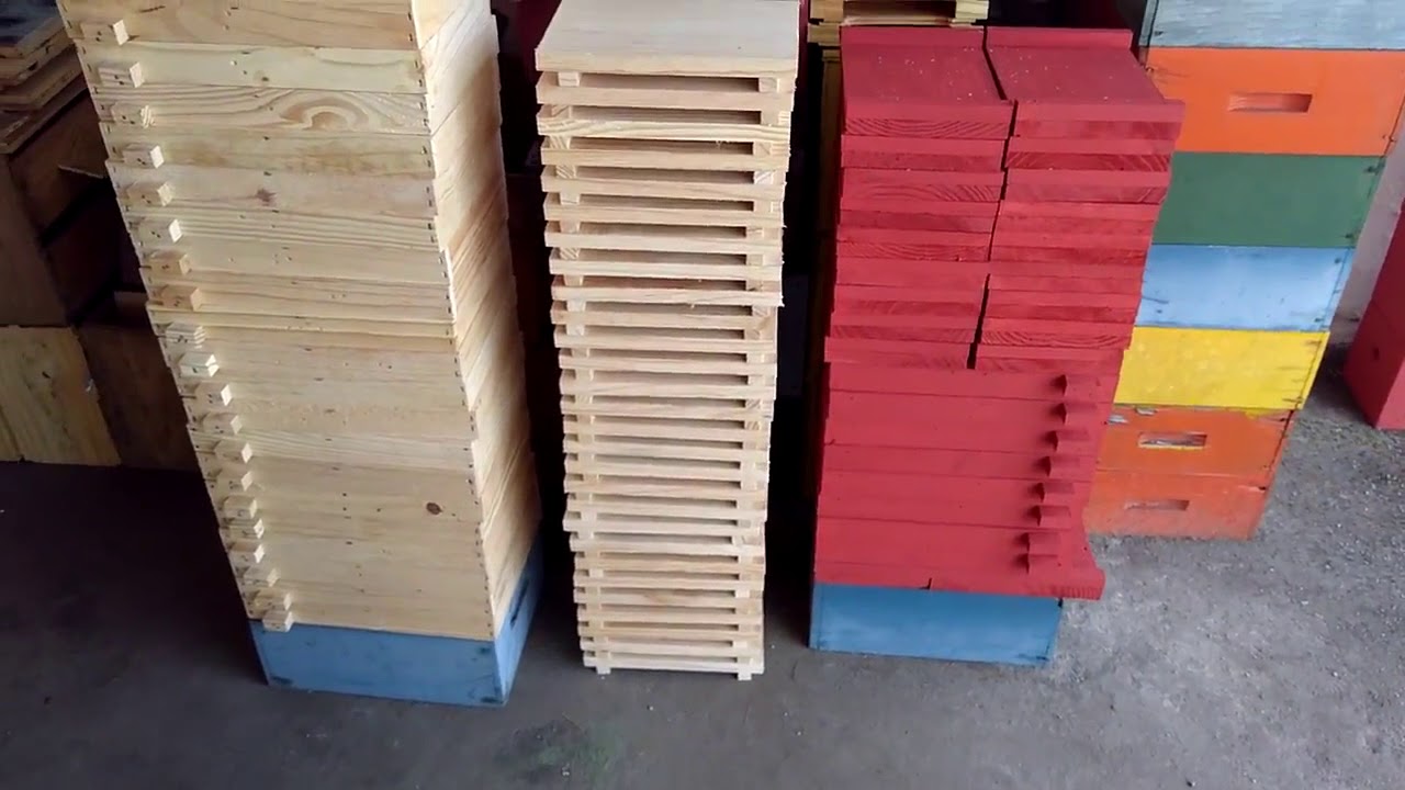 Apicultura, abelha rainha🐝núcleo duplo de fecundação 🌸