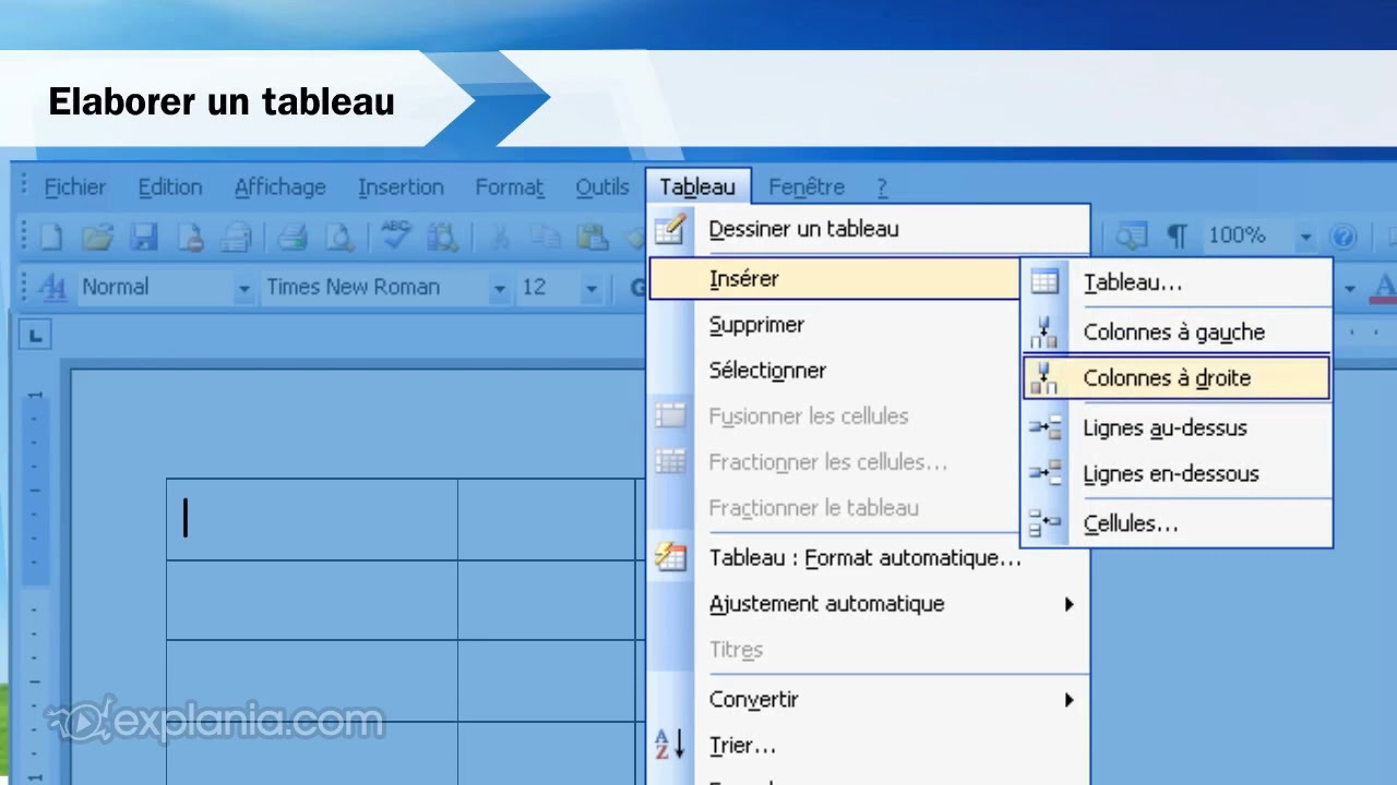 Comment ins&eacute;rer un tableau dans Word 2003